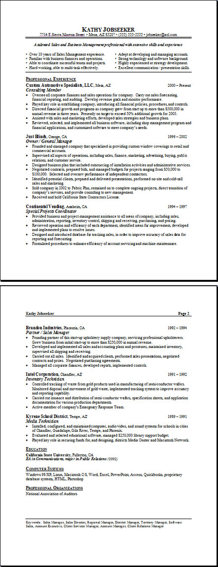 resume examples 2010. Professional Resume Templates