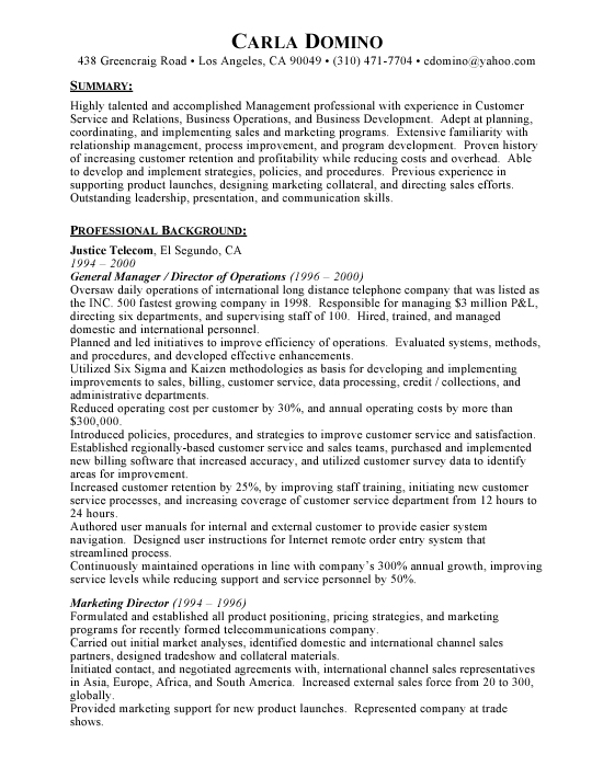 professional resume format examples. This resume template was