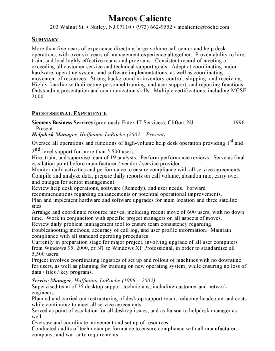 it resume format sample. 2010 Sample Resume Template by