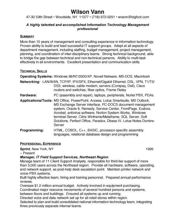 Information Technology Director Sample Resume