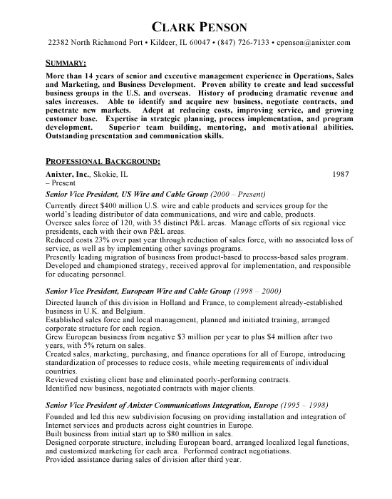 Senior Vice President Sample Resume Example Template