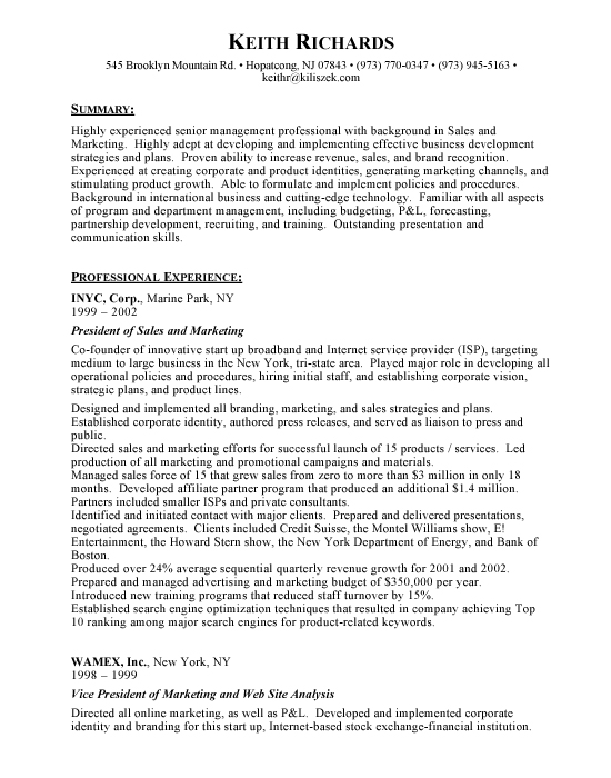 VP Marketing Sample Resume Template Example